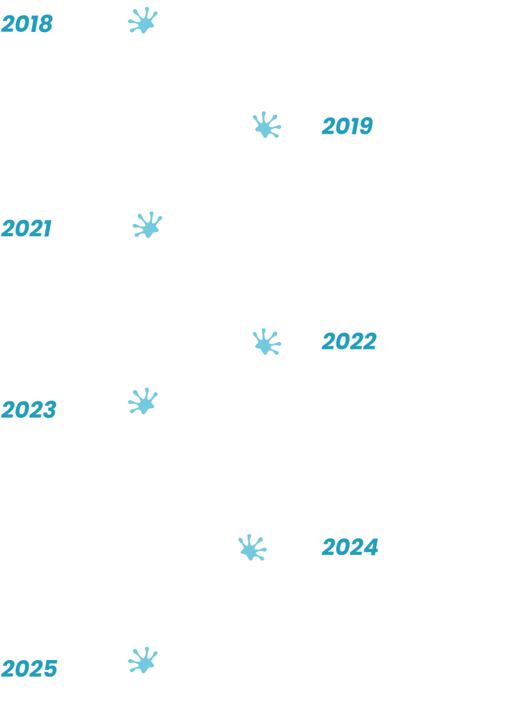 Quicklizard's milestones over the years