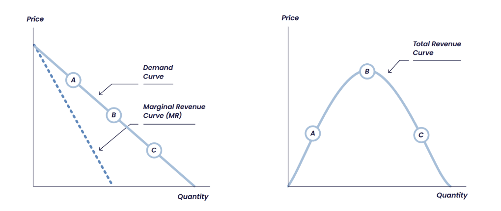 line graphs showing the marginal revenue curve (MR) and the total revenue curve alongside the demand curve