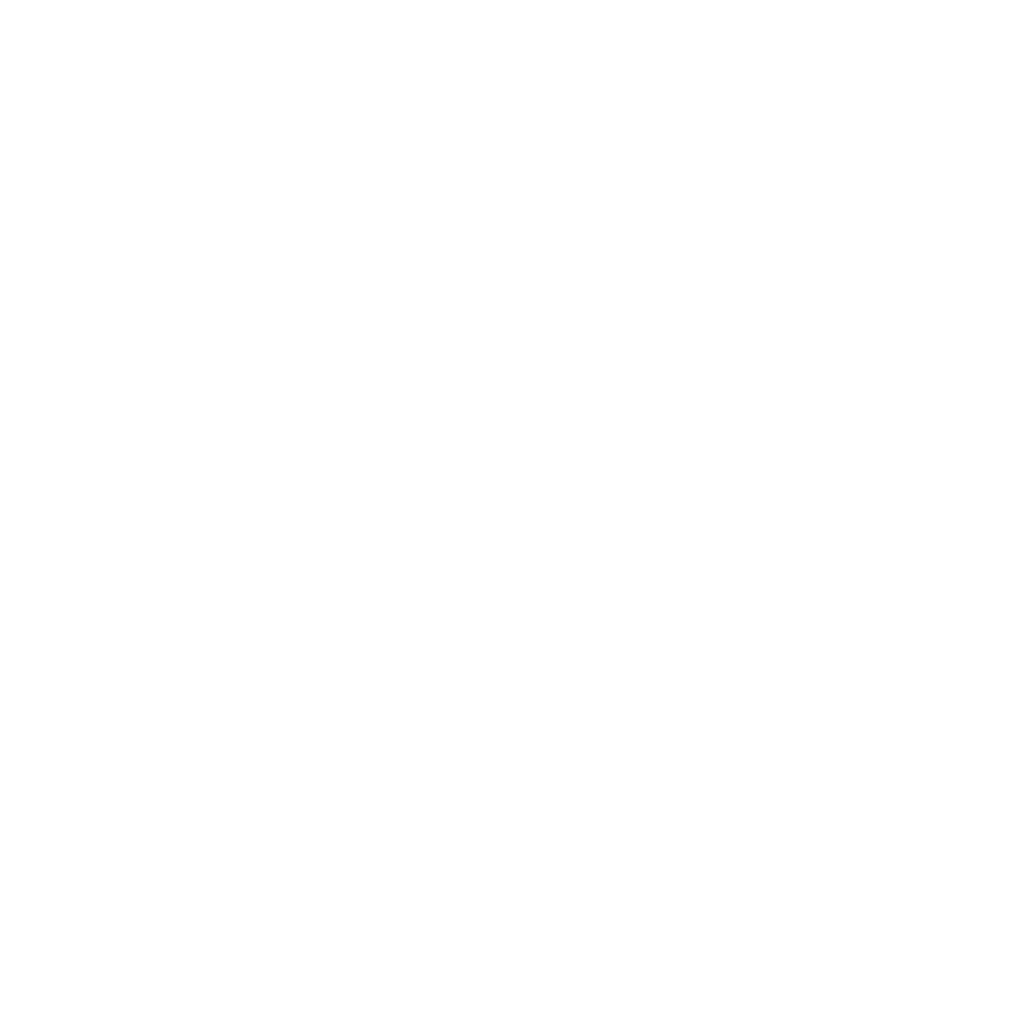 globes logo