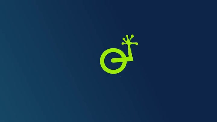 Quicklizard brand video